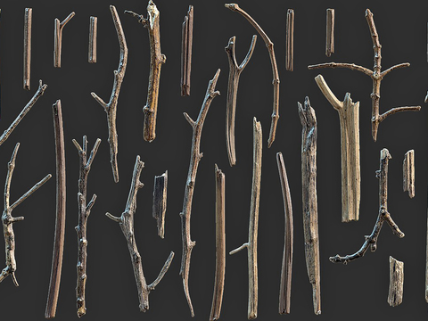 Wooden sticks, wood, dead wood