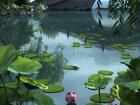 Modern Lotus Pond Landscape