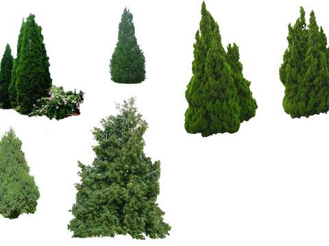 modern big tree landscape tree bushes psd