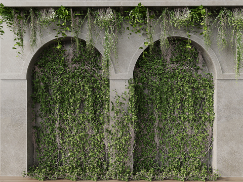 Vine Wall