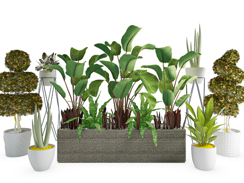 Modern plants potted free