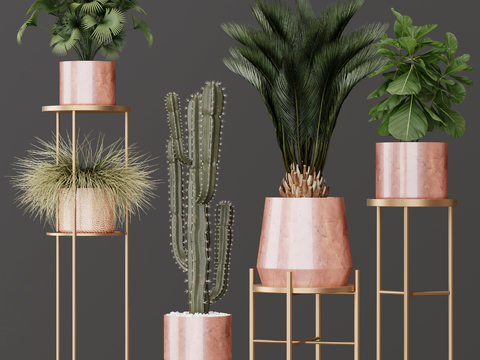 Modern potted plant combination