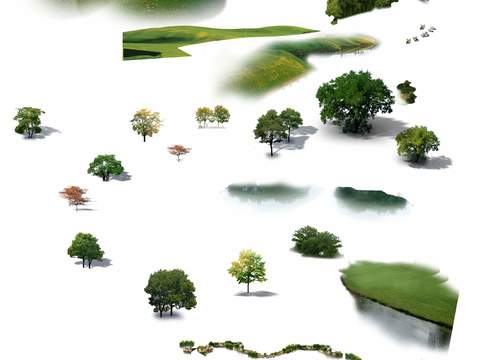 modern big tree tree landscape tree psd