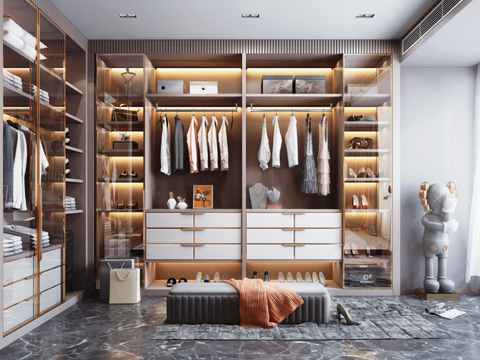 Modern Affordable Luxury Style Cloakroom