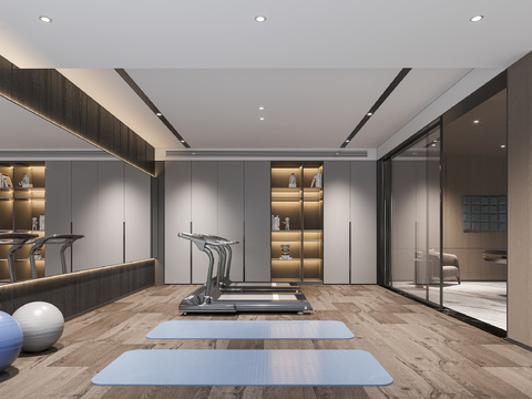 Modern Gym Recreation Area