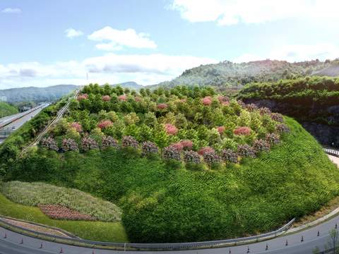 hillside mountain retaining wall vegetation psd