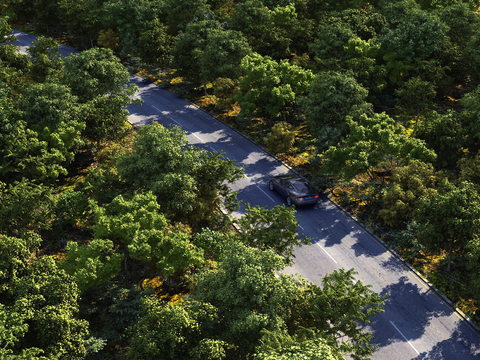 Aerial view of modern forest highway