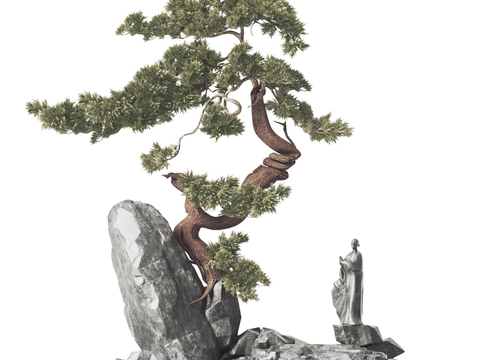 New Chinese pine rockery sketch