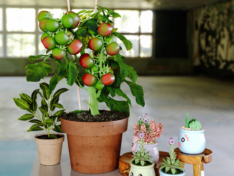 Fleshy Potted Vegetable and Fruit Basket