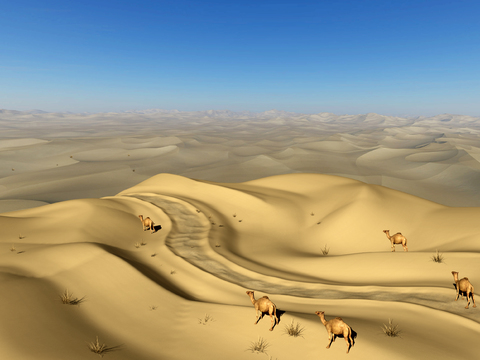 Modern Desert Camel Landscape