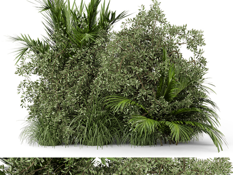 green plant shrub plant pile