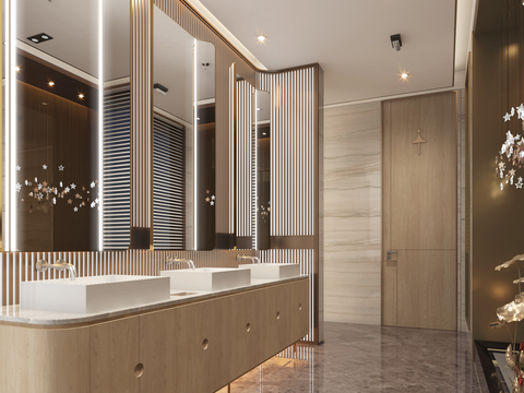 Modern Affordable Luxury Style Hotel Toilet