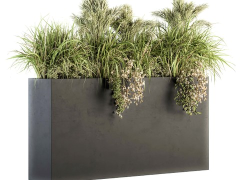 Modern Green Plant Flower Box Potted Plant