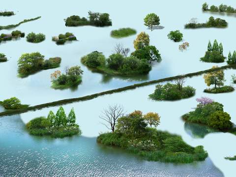 modern wetland big tree tree landscape tree psd