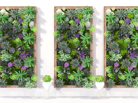 Modern succulent plant wall