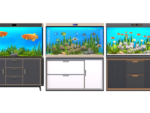 Modern fish tank aquarium