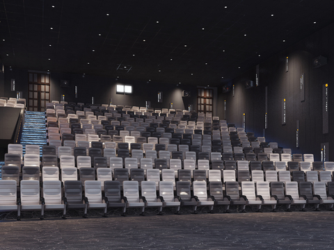 Modern Cinema Projection Hall