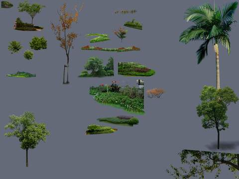 modern landscape tree coconut tree maple psd