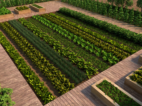 Modern vegetable garden