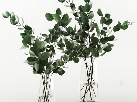 Modern hydroponic green plant vase