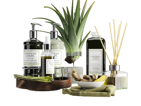 Modern green potted toiletries