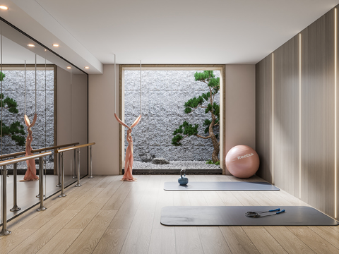 Modern Yoga Studio Gym