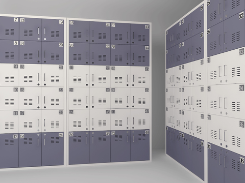 Modern Metal Locker Locker