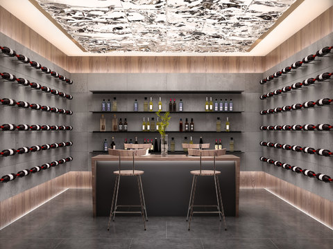 Modern Wine Cellar Wine Room