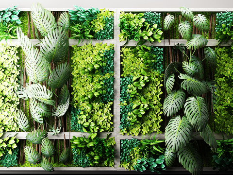 Modern green plant Wall