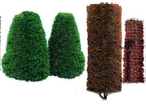 modern green plant hedge column psd