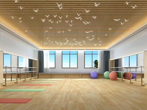 Modern Dance Classroom