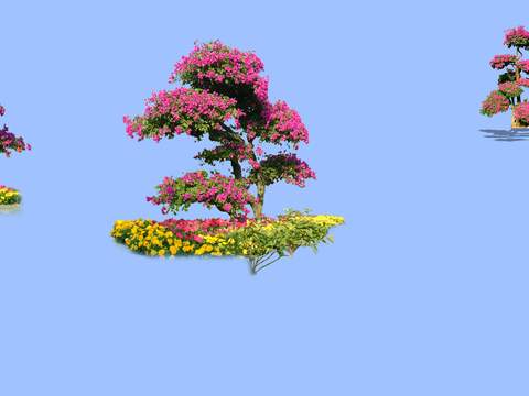 modern peach tree chrysanthemum flowers psd