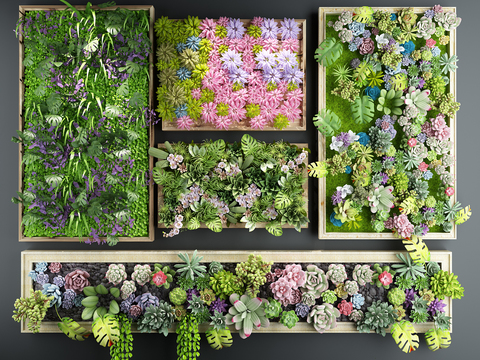 Modern flowers and succulents wall