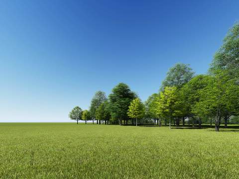 modern lawn big tree trees landscape tree psd