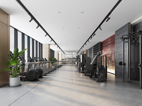 Modern Gym