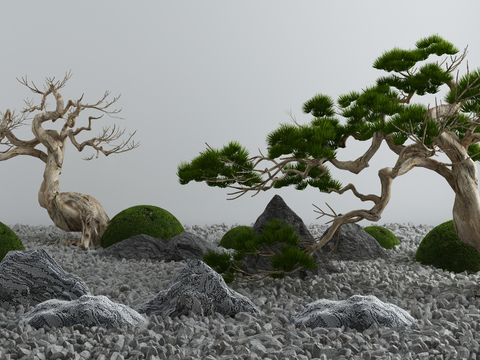 New Chinese Pine Tree Rock Landscape Sick