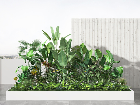 Modern tropical green plants and flowers