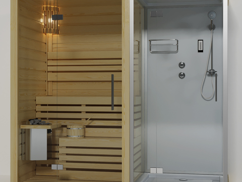 Modern Sauna Room Shower Room