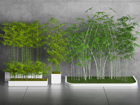 Modern Green Plant Bamboo