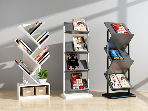 Modern Newspapers and Magazines Bookshelf