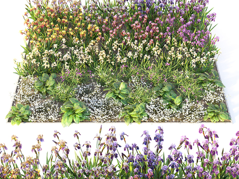 flowers flower bed flowers