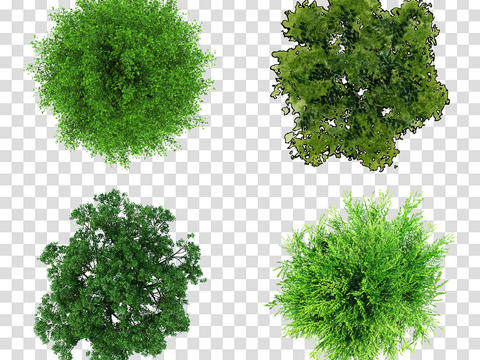 modern classic flat plant landscape psd