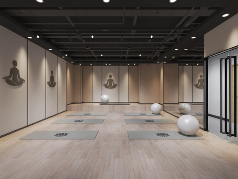 Modern Yoga Studio