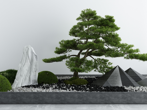 Japanese style courtyard pine tree landscape sketch