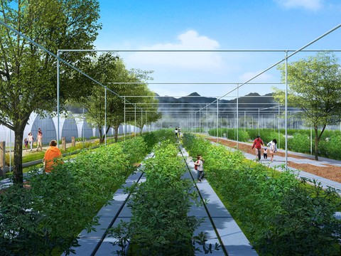 Modern Park Vegetable Garden psd