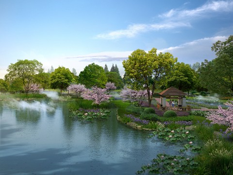 Modern Wetland Park Landscape psd