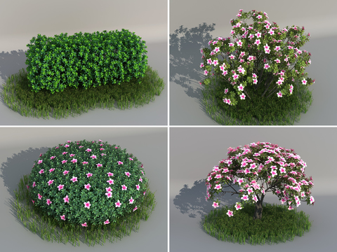 modern shrub flowers