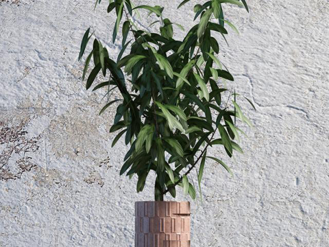 Modern Green Plant Potted Free