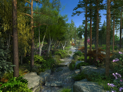 Natural Wind Forest Stream Landscape