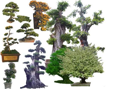 modern big tree landscape tree flower bed tree psd